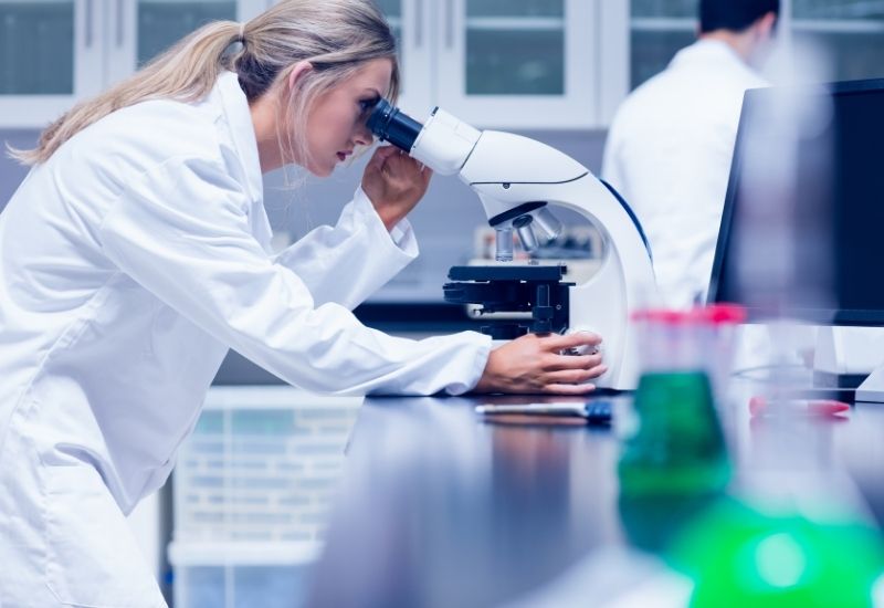 lab