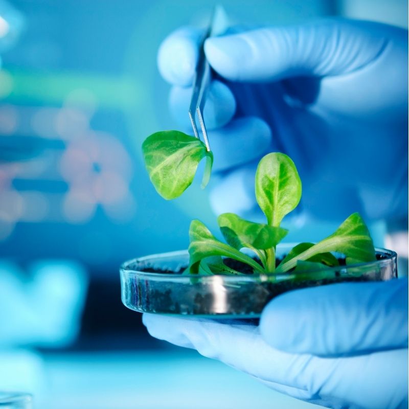 Biotechnology