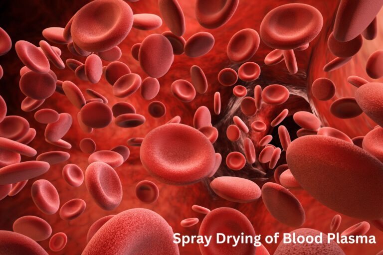 Spray Drying of Blood Plasma